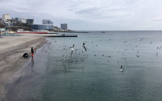 В Одессе будет теплое и ветренное воскресенье, возможен небольшой дождь «фото»