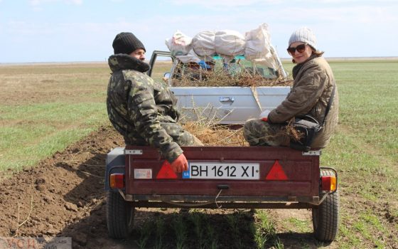 Школьники и экологи высаживают тысячи кустов живой изгороди, чтобы оградить “Тузловские лиманы” от сельхозугодий (фото) «фото»