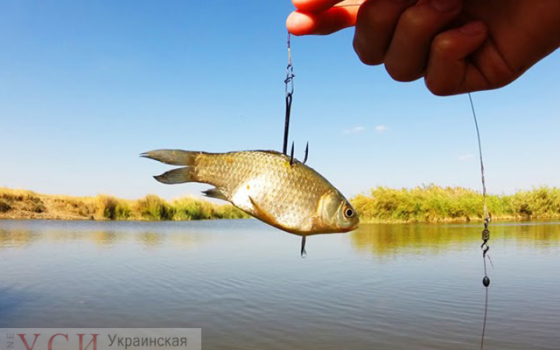 С 1 апреля рыбакам ограничат выход на воду и вылов рыбы в водоемах Одесской области «фото»