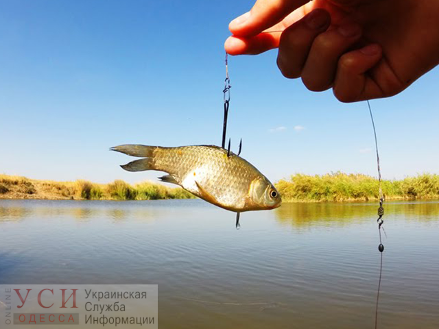 С 1 апреля рыбакам ограничат выход на воду и вылов рыбы в водоемах Одесской области «фото»