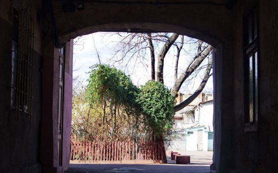 Весенняя Молдаванка – прогулка по дворам (фоторепортаж) «фото»