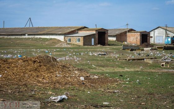 Грязно – убери: “trashtag” челлендж набирает обороты среди одесситов и жителей области (фото) usionline.com Грязно – убери: “trashtag” челлендж набирает обороты среди одесситов и жителей области (фото) «фото»