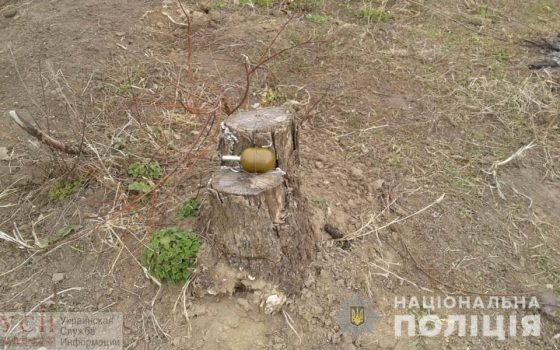 Граната взорвалась в руках у жителя Одесской области ОБНОВЛЕНО (фото) usionline.com Граната взорвалась в руках у жителя Одесской области ОБНОВЛЕНО (фото) «фото»