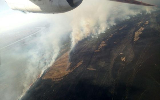 Причиной масштабного пожара в Вилковском лесничестве стало неосторожное обращение с огнем «фото»