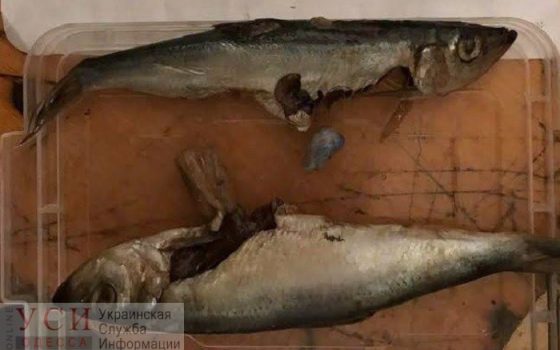 В Одессе арестанту пытались передать наркотики, спрятанные в селедке (фото) «фото»