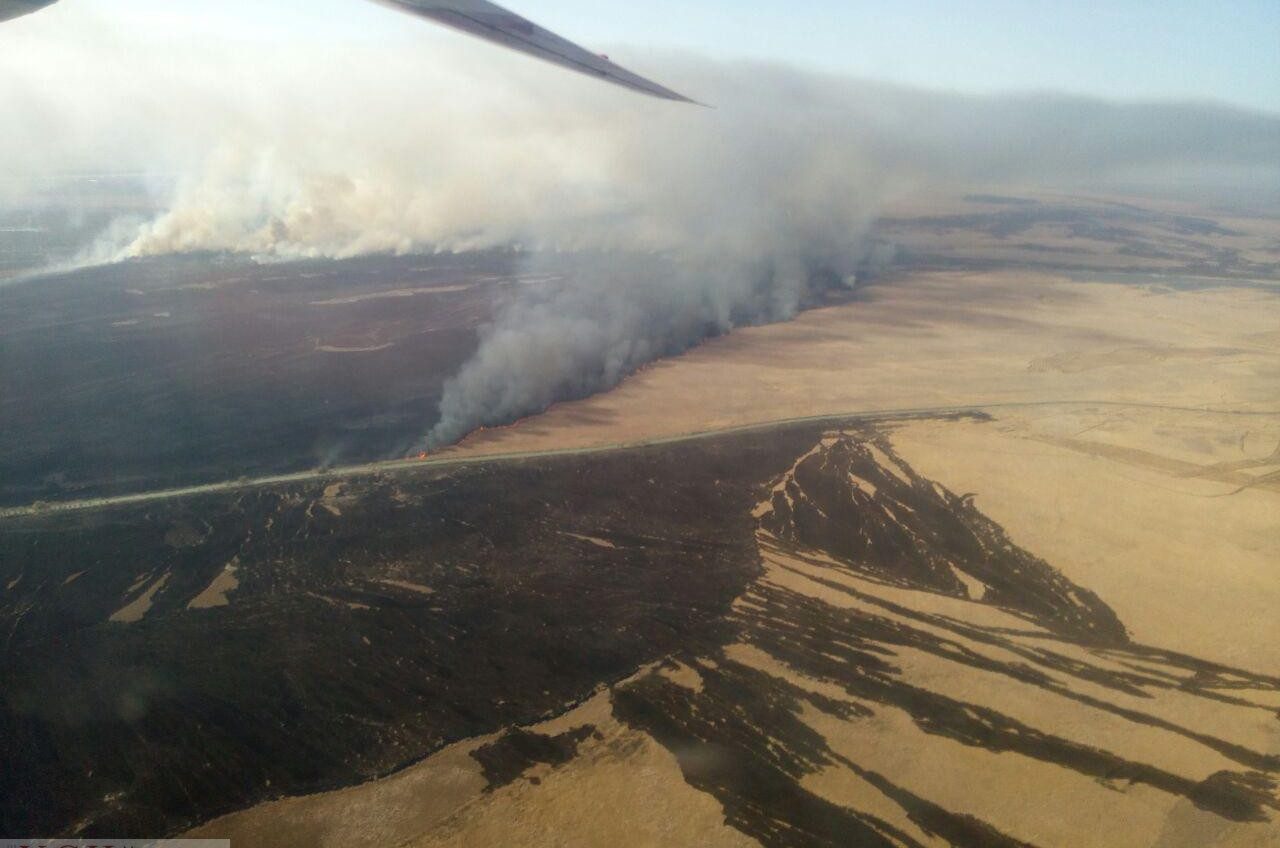 Масштабный пожар в лесничестве в Килийском районе тушит самолет ГСЧС (фото) «фото»