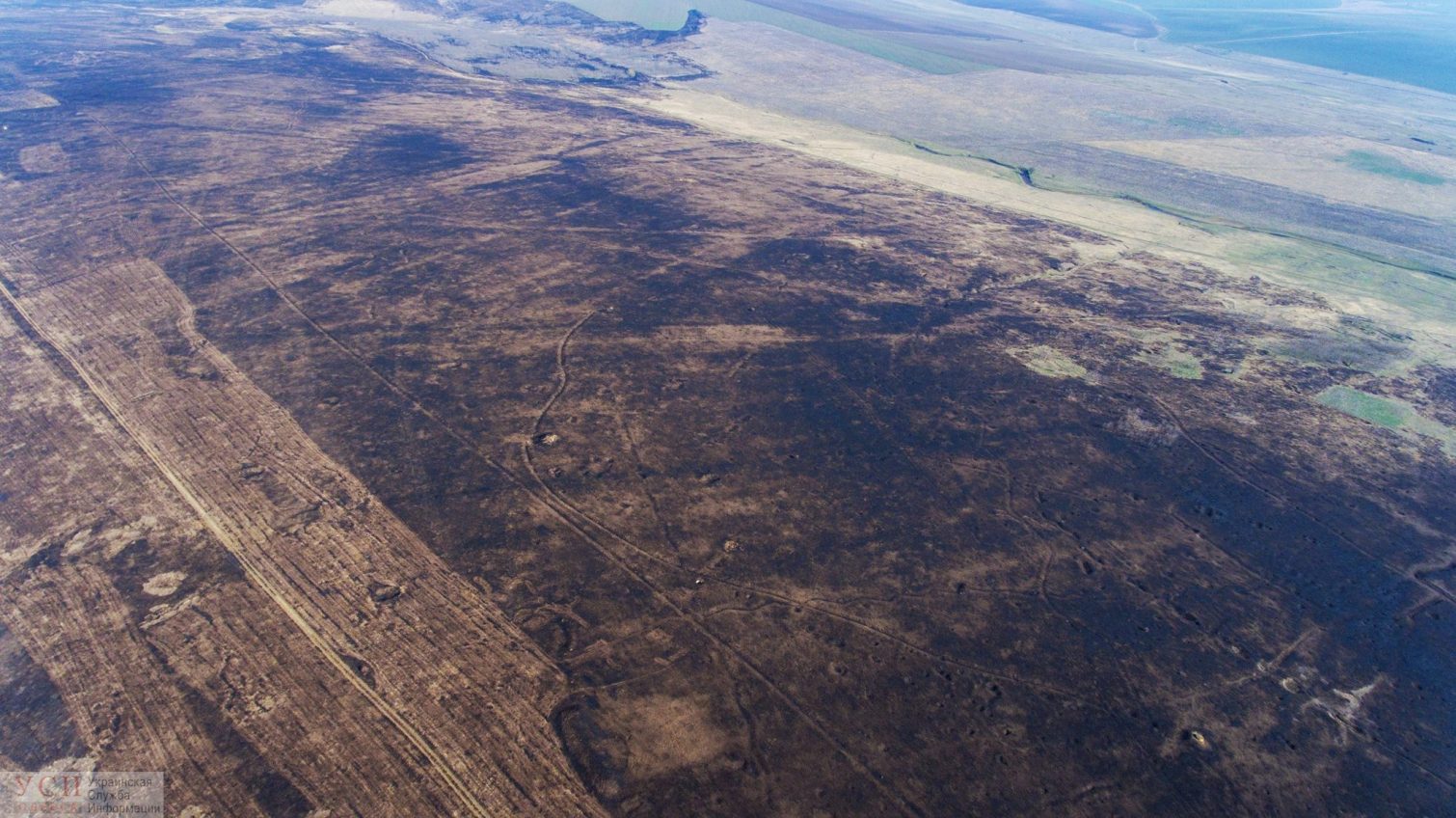 Пожар уничтожил 6000 гектаров Тарутинской степи: убытки на десятки миллионов гривен (фото, видео) «фото»