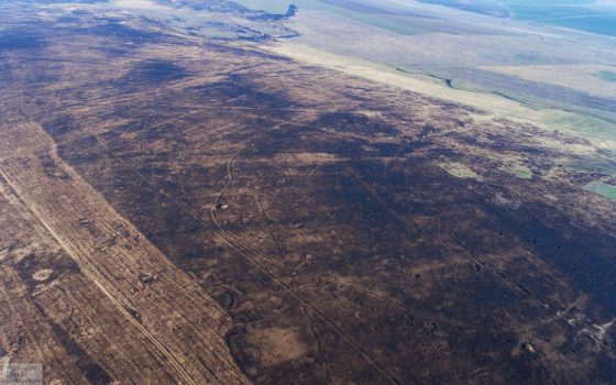 Пожар уничтожил 6000 гектаров Тарутинской степи: убытки на десятки миллионов гривен (фото, видео) usionline.com Пожар уничтожил 6000 гектаров Тарутинской степи: убытки на десятки миллионов гривен (фото, видео) «фото»