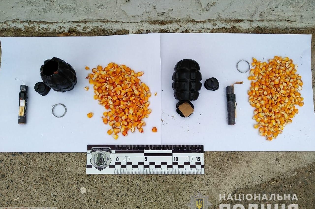 Жительница Одесской области обнаружила у себя под домом пакет с гранатами (фото) «фото»
