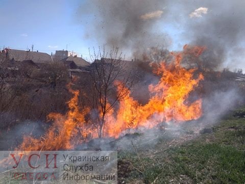 В Татарбунарах горел камыш: пожарные не допустили распространения огня (фото) «фото»