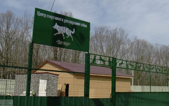 Строительство “Догтауна” на 411-й батарее продолжается: за несколько дней выросли капитальный забор и два домика (фото) «фото»