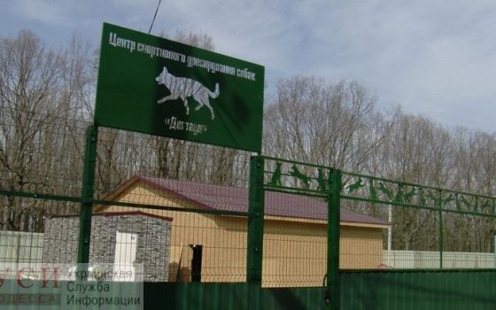 Собачий городок за 20 миллионов гривен: Одесские чиновники запутались в том, кто финансирует “Догтаун” (видео) usionline.com Собачий городок за 20 миллионов гривен: Одесские чиновники запутались в том, кто финансирует “Догтаун” (видео) «фото»
