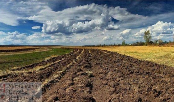 В Одессе инвентаризируют три гектара земли для того, чтобы передать семьям погибших участников АТО и инвалидов usionline.com В Одессе инвентаризируют три гектара земли для того, чтобы передать семьям погибших участников АТО и инвалидов «фото»