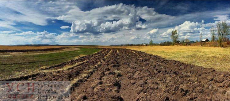 В Одессе инвентаризируют три гектара земли для того, чтобы передать семьям погибших участников АТО и инвалидов «фото»