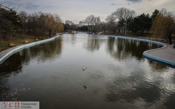 В одесском Парке Победы пересчитают кусты и деревья «фото»