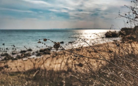 Понедельник в Одессе будет ясным, но прохладным «фото»