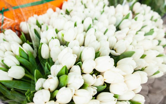 Цветочный рай: “Привоз” завалило розами и тюльпанами, а одесситы массово скупаются, блокируя проезд (фоторепортаж) «фото»