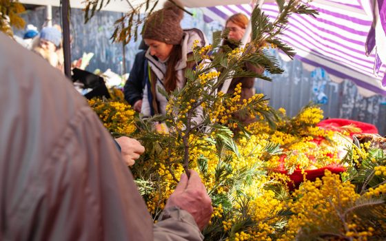 Итоги недели: юбилей Сагайдачного, суматоха в честь 8 марта, поджог лотомаркета и воскресный ураган «фото»