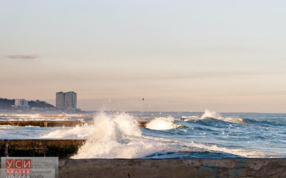 Весна пришла: 18 градусов тепла прогнозируют в Одесской области «фото»