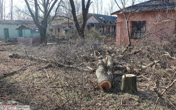 Известный строительный аферист построит две семиэтажки на месте детского лагеря «фото»