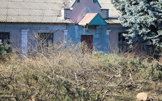 Незаконный спил деревьев на территории “Антарктики” нанес городу урон на 185 тысяч гривен usionline.com Незаконный спил деревьев на территории “Антарктики” нанес городу урон на 185 тысяч гривен «фото»