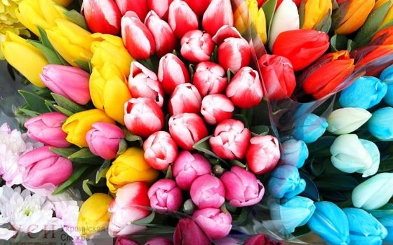 В Международный женский день в Одессе будет тепло и солнечно «фото»