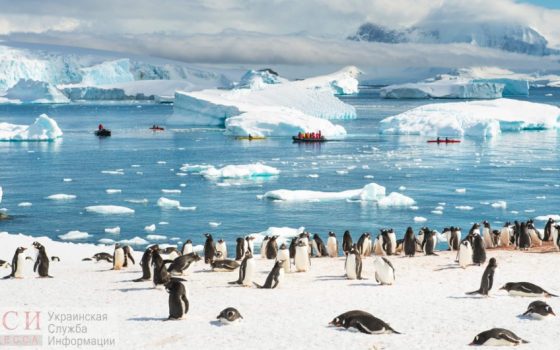 Одесский ученый в пятый раз примет участие в украинской антарктической экспедиции «фото»