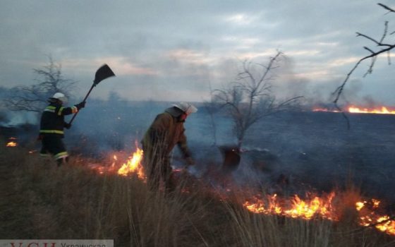 Под Одессой пожарные спасли собаку, которая оказалась в огненной ловушке (фото) usionline.com Под Одессой пожарные спасли собаку, которая оказалась в огненной ловушке (фото) «фото»