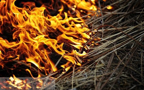 В Верховной Раде предлагают увеличить штрафы за сжигание сухостоя и листьев «фото»