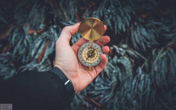 Пять необычных экскурсий по Одессе «фото»