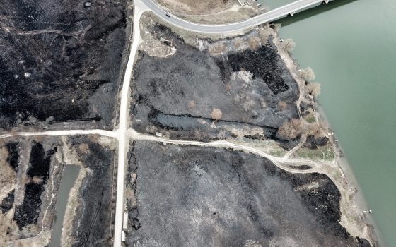 Сотни гектаров сгоревшего камыша, обугленные коттеджные домики и оплавленные лодки: пожар в “Днестровских плавнях” с высоты птичьего полета (фоторепортаж, видео) «фото»