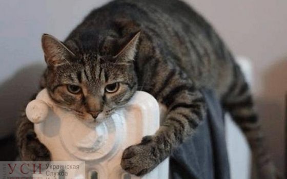 Отопительный сезон в Одессе закончится вместе с Юмориной «фото»