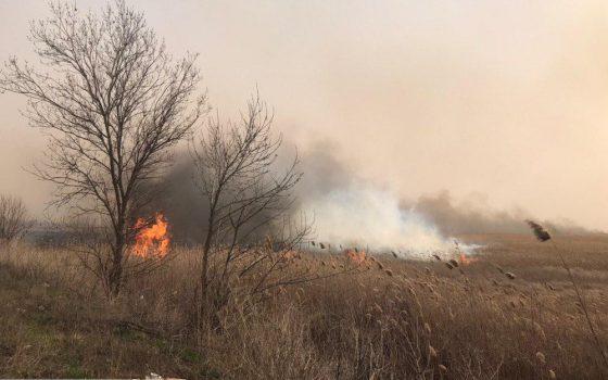 “Это выгодно местным браконьерам”, – экологи о пожарах в заповедных плавнях Маяк (фото, видео) «фото»