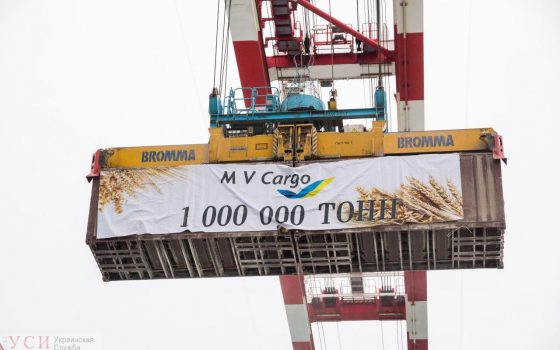 Новый зерновой терминал в порту Южный переработал первый миллион тонн (фото, видео) «фото»