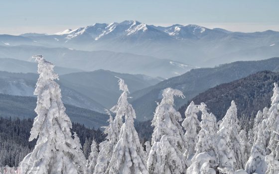 Спасатели нашли заблудившихся в Карпатах одесситов: их везут в ближайшую больницу «фото»
