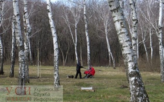 В Одессе девять скверов и парков получат границы: приморских склонов в перечне нет «фото»