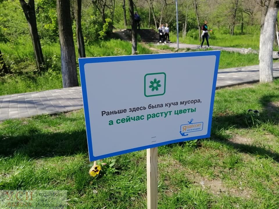 Раньше здесь был мусор, а сейчас растут цветы: в Одессе прошел масштабный субботник в парках (фото) «фото»