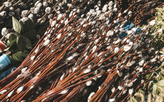 Православные одесситы празднуют Вербное воскресенье (фоторепортаж) «фото»