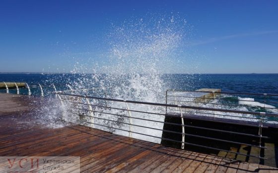 Возле “Немо” заметили слив грязной воды в море, совладелец дельфинария утверждает, что это совпадение (видео) usionline.com Возле “Немо” заметили слив грязной воды в море, совладелец дельфинария утверждает, что это совпадение (видео) «фото»