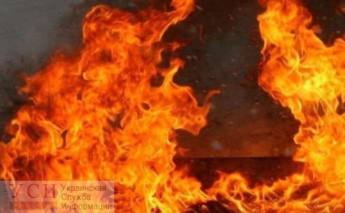 В Подольске на пожаре погиб мужчина «фото»