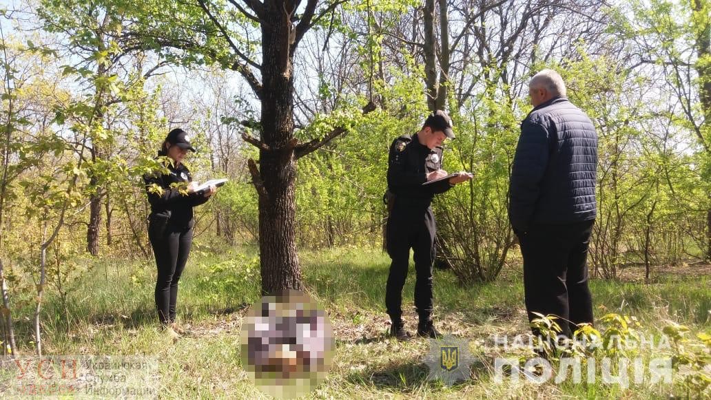 В Татарбунарском районе нашли повешенной 15-летнюю девушку из приемной семьи (фото) «фото»