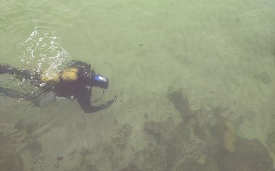 Бутылки, банки и рельсы: одесские водолазы начали обследовать морское дно (фото) «фото»