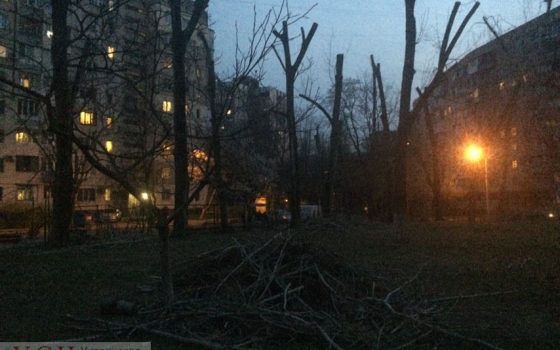 На Таирова неизвестные обрезали деревья до состояния столбов (фото) «фото»