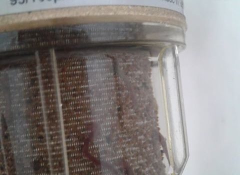 В Сарате жалуются, что из крана продолжает идти вода с червями, глава поселкового совета Негодяев говорит, что это неправда (фото) «фото»