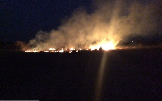 Французский винодел Лакарен заявил о поджоге своих виноградников (фото) «фото»