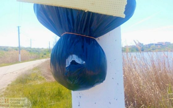 В Сухом лимане порвали голову повешенному чучелу, которое предупреждает людей не мусорить «фото»