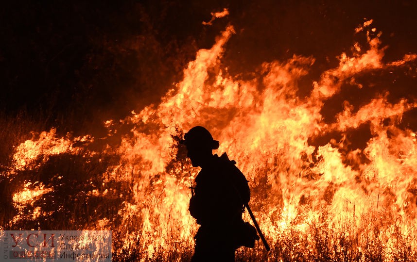 Бездомный получил сильные ожоги во время пожара в Дюковском саду «фото»