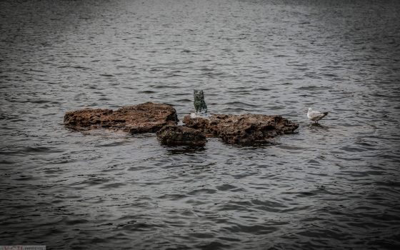 В четверг в Одессе ожидается пасмурный день с переменной облачностью «фото»