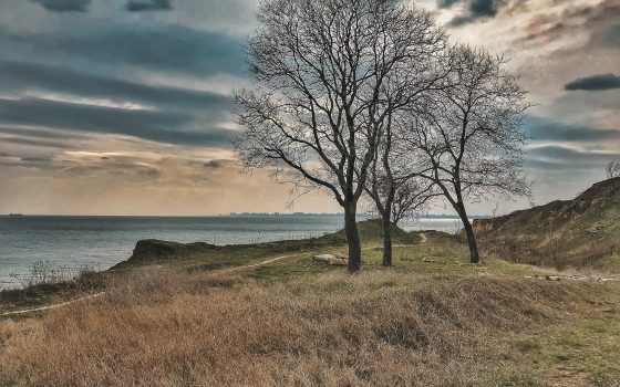 Конец недели в Одессе будет солнечным и теплым «фото»