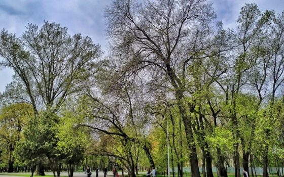 Погода в страстную субботу: в Одессе будет +23 «фото»